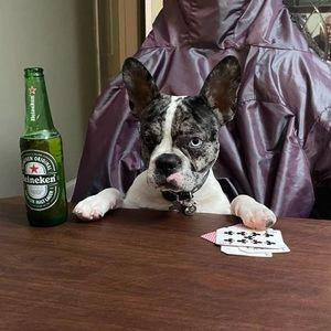 Meet your Posher, Alexander